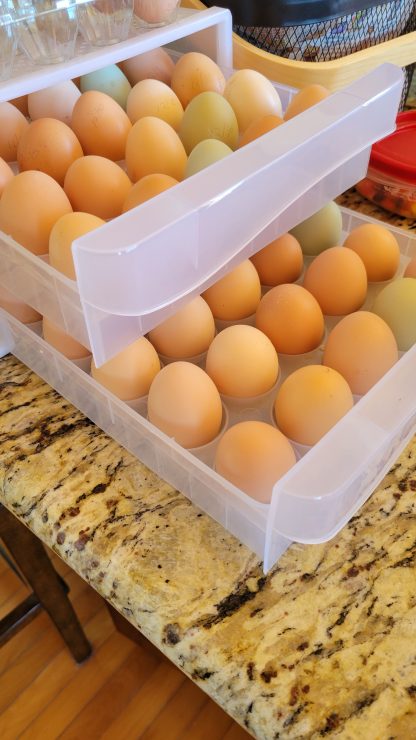 Farm fresh eggs